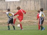 IMG_7674.JPG