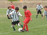 IMG_7679.JPG