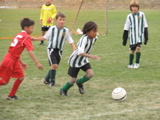 IMG_7680.JPG