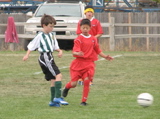 IMG_7683.JPG