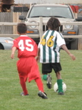 IMG_7684.JPG