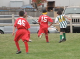 IMG_7685.JPG