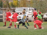 IMG_7687.JPG