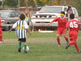 IMG_7689.JPG