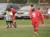 IMG_7690.JPG
