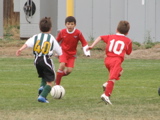 IMG_7692.JPG