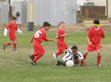 IMG_7699.JPG