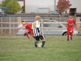 IMG_7701.JPG