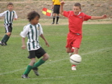 IMG_7704.JPG