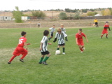 IMG_7705.JPG