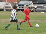 IMG_7643.JPG