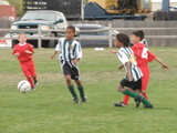 IMG_7644.JPG