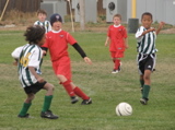IMG_7746.JPG