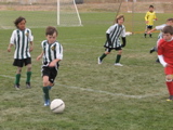 IMG_7749.JPG