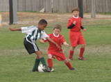 IMG_7754.JPG