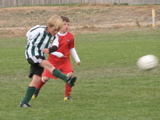 IMG_7755.JPG