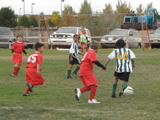 IMG_7756.JPG