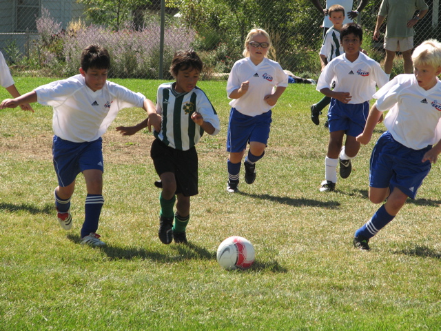 IMG_7263.JPG