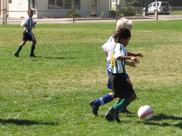 IMG_7264.JPG