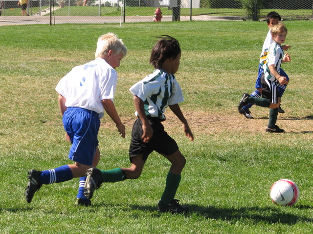 IMG_7265.JPG