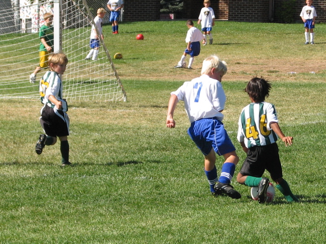 IMG_7267.JPG