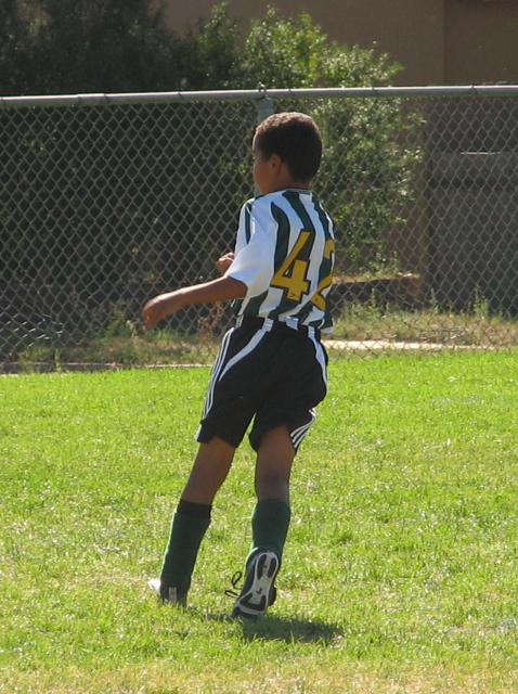 IMG_7100.JPG copy