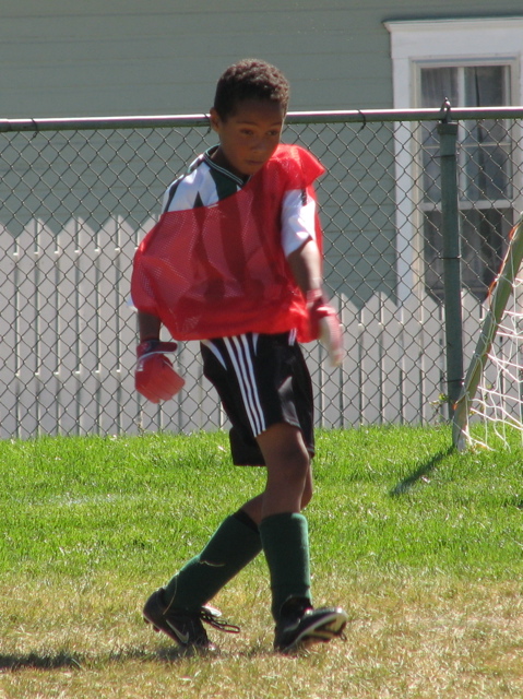 IMG_7310.JPG copy