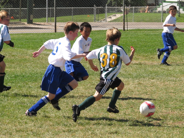 IMG_7323.JPG