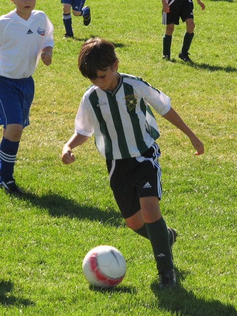 IMG_7106.JPG copy