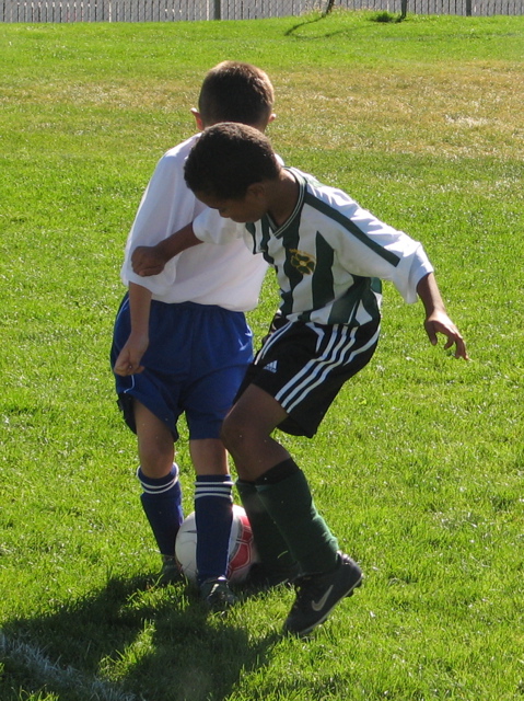 IMG_7107.JPG copy