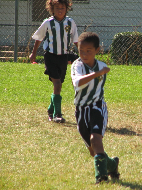 IMG_7114.JPG copy