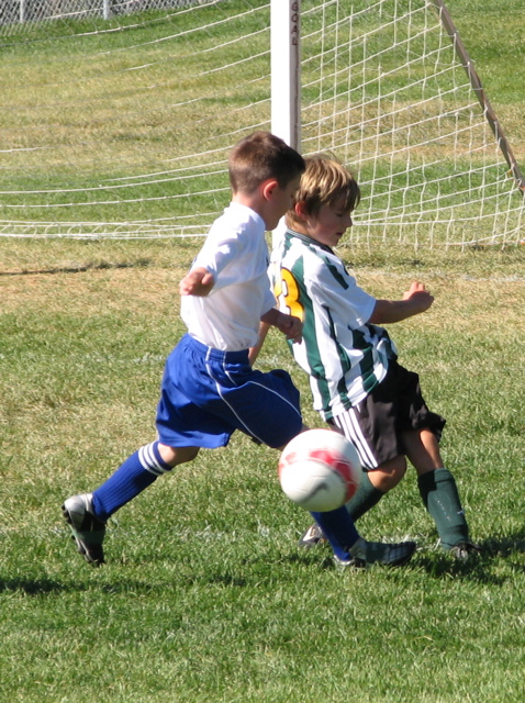 IMG_7118.JPG copy
