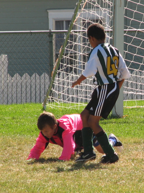 IMG_7129.JPG copy