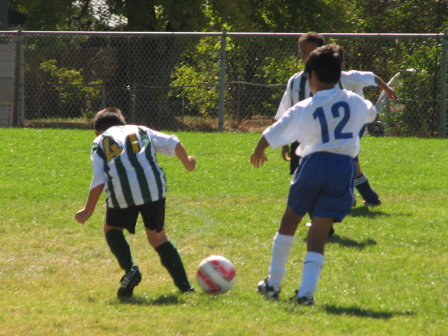 IMG_7142.JPG
