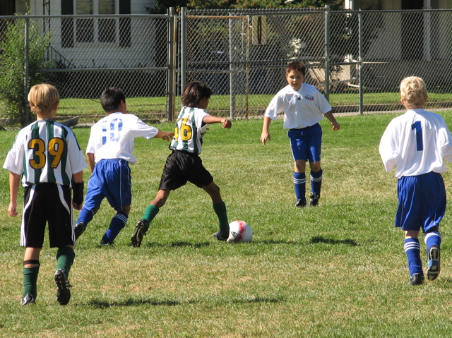 IMG_7205.JPG