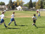 IMG_7212.JPG