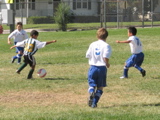 IMG_7213.JPG