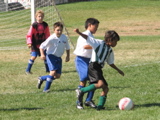 IMG_7214.JPG