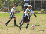 IMG_7238.JPG