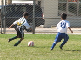 IMG_7239.JPG