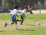 IMG_7258.JPG