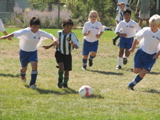IMG_7263.JPG