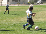 IMG_7264.JPG