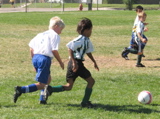 IMG_7265.JPG