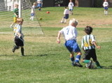 IMG_7267.JPG