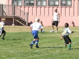IMG_7268.JPG