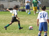 IMG_7279.JPG