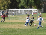 IMG_7288.JPG