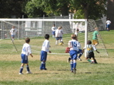 IMG_7291.JPG