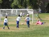 IMG_7292.JPG
